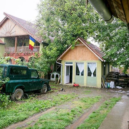 Pensiune Muzeu Traditional Poveste In Transilvania Sighisoara Ngoại thất bức ảnh