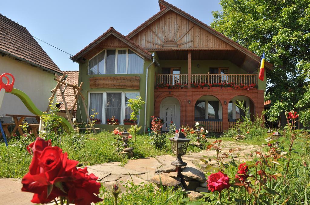 Pensiune Muzeu Traditional Poveste In Transilvania Sighisoara Ngoại thất bức ảnh
